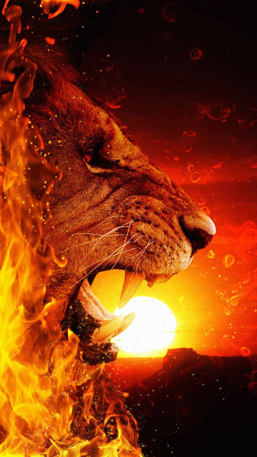 Iphone Fire Lion Head Background