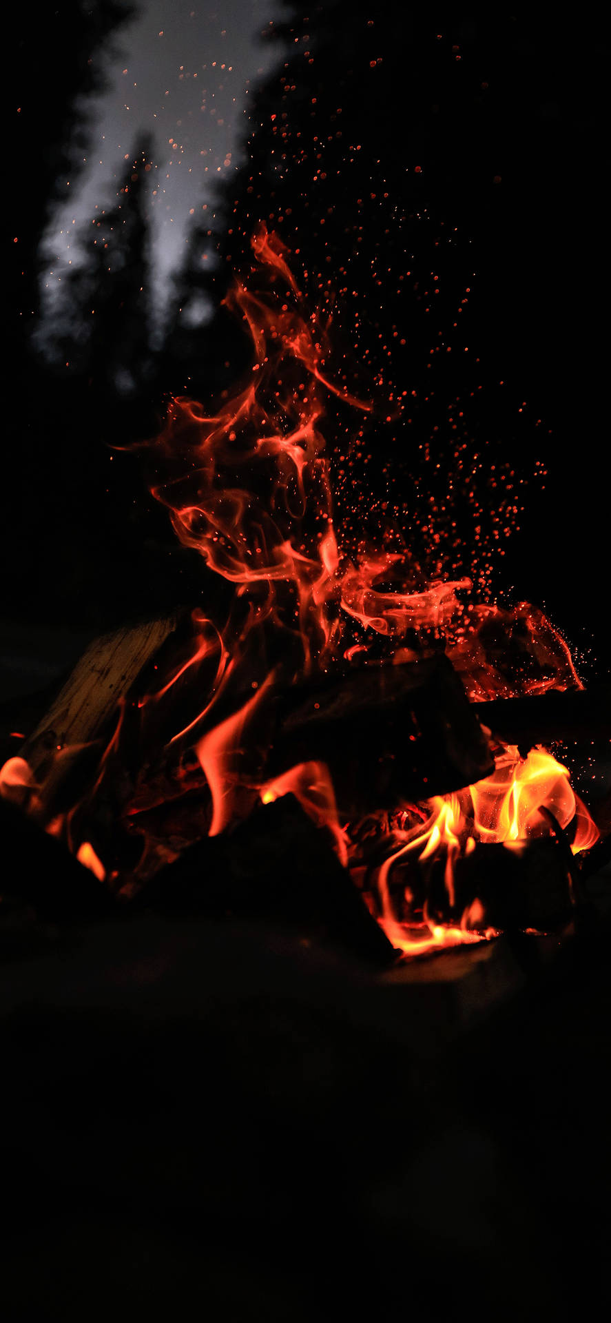 Iphone Firewood Night Forest Vibes Background