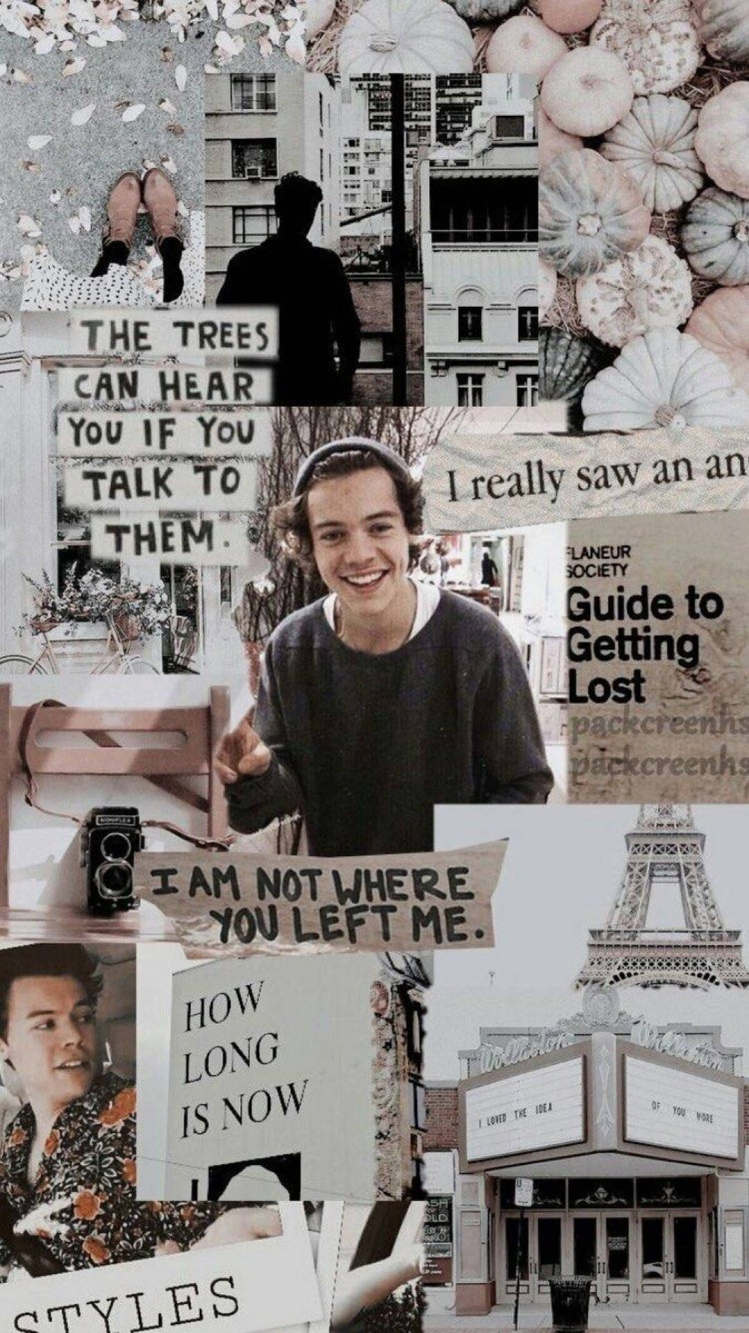 Iphone Harry Styles With Song Lines Background