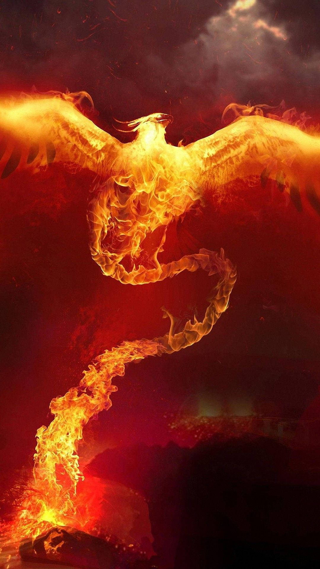 Iphone Rise Of The Phoenix Fire Background