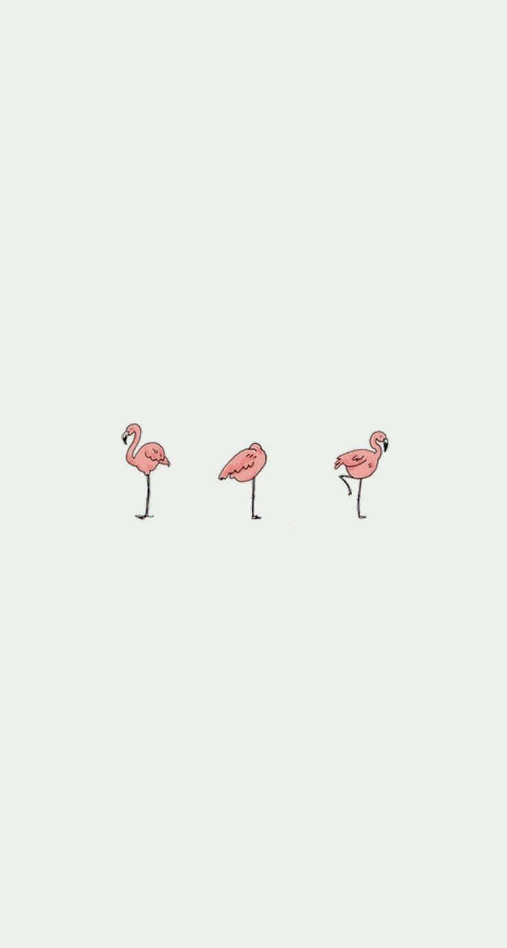 Iphone Simple Cute Flamingos Background