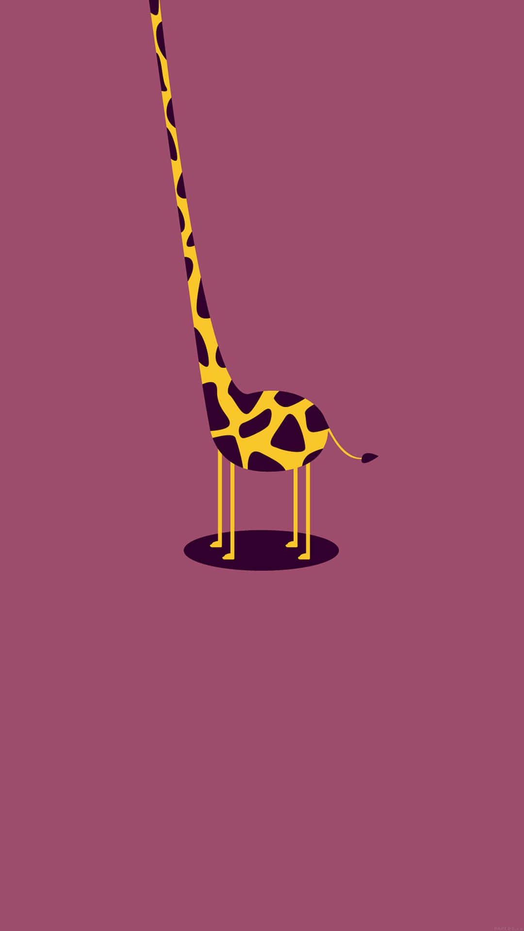 Iphone Simple Cute Long Neck Background