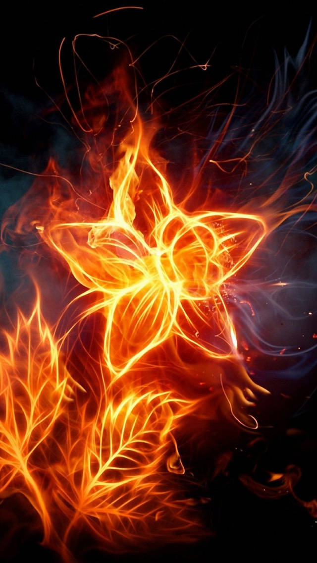 Iphone Star Flower Fire