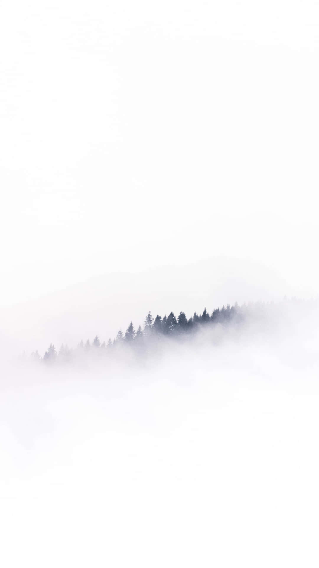 Iphone White Foggy Forest Background