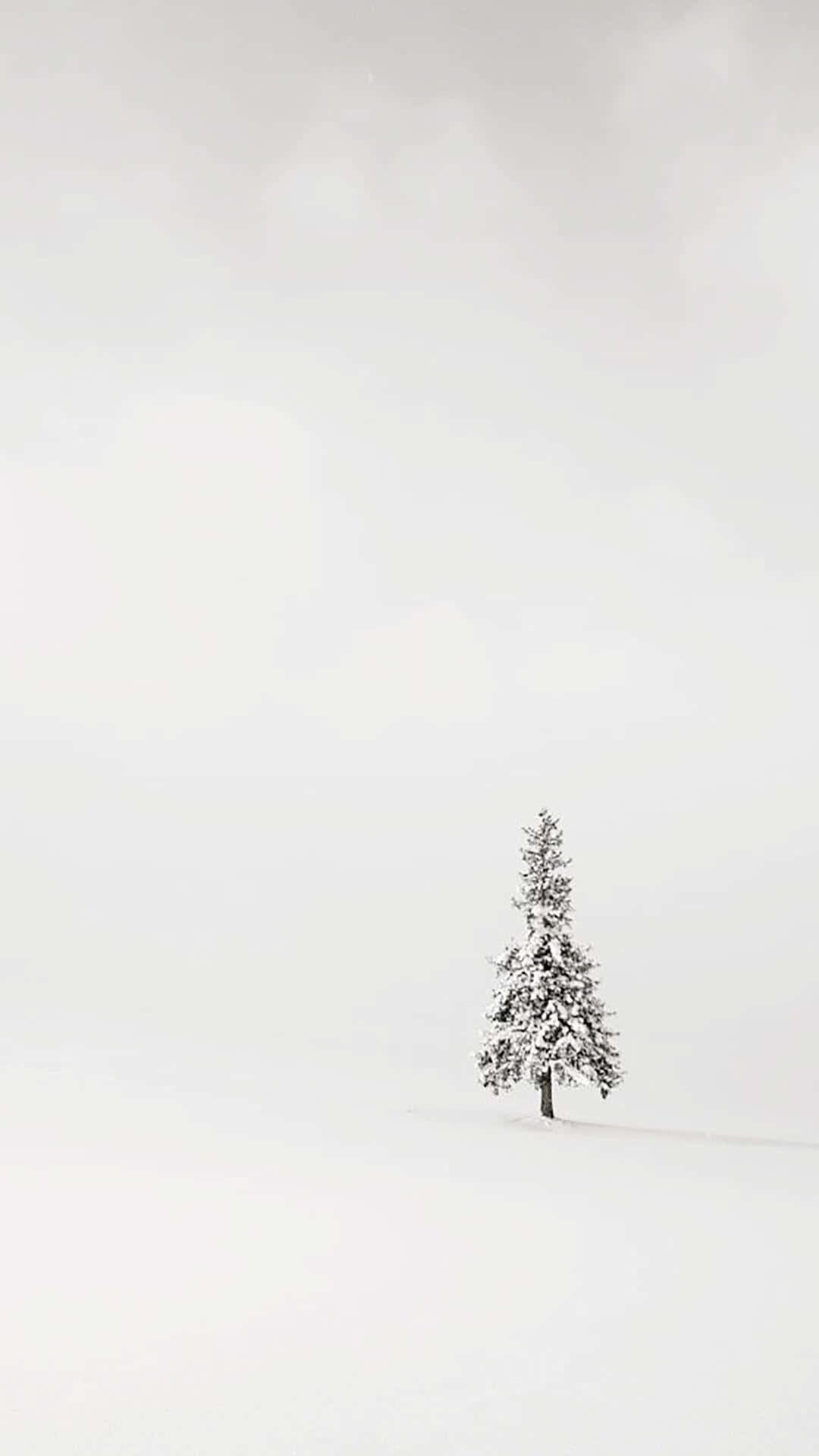 Iphone White Snowy Tree Background