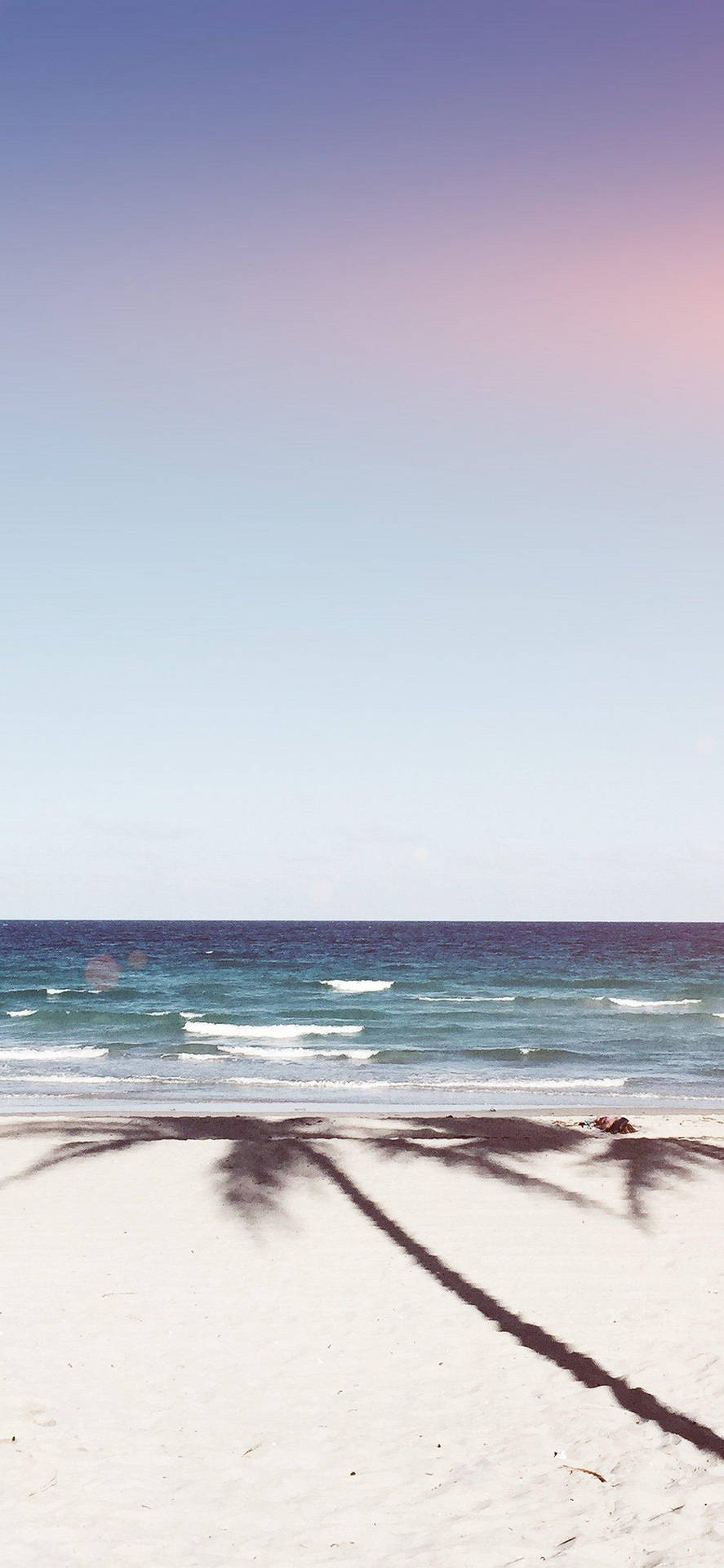 Iphone X Beach Coconut Shadow Background
