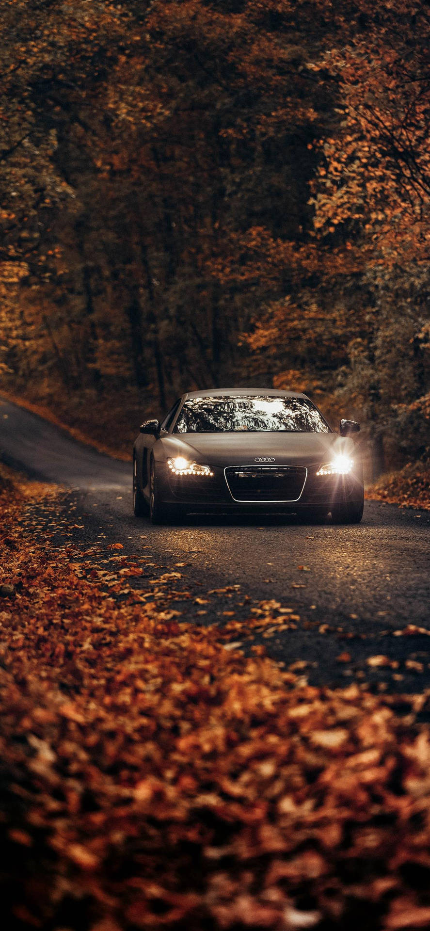 Iphone X Car Audi R8 Autumn Background