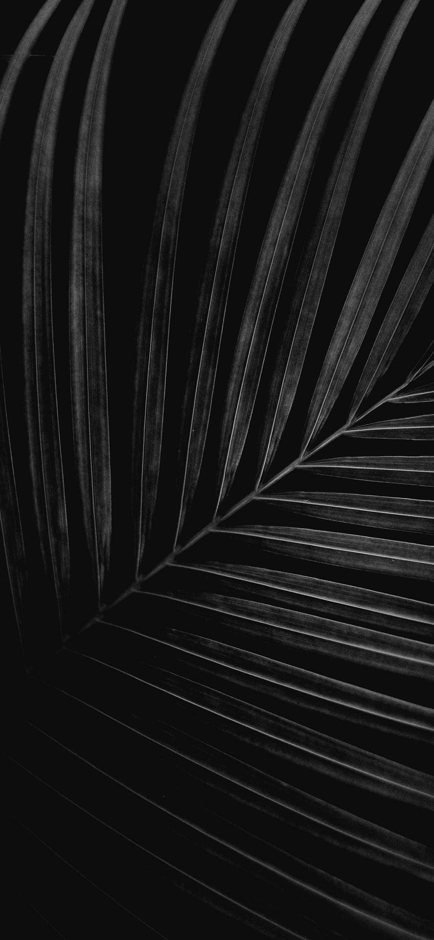 Iphone X Original Black And White Leaves