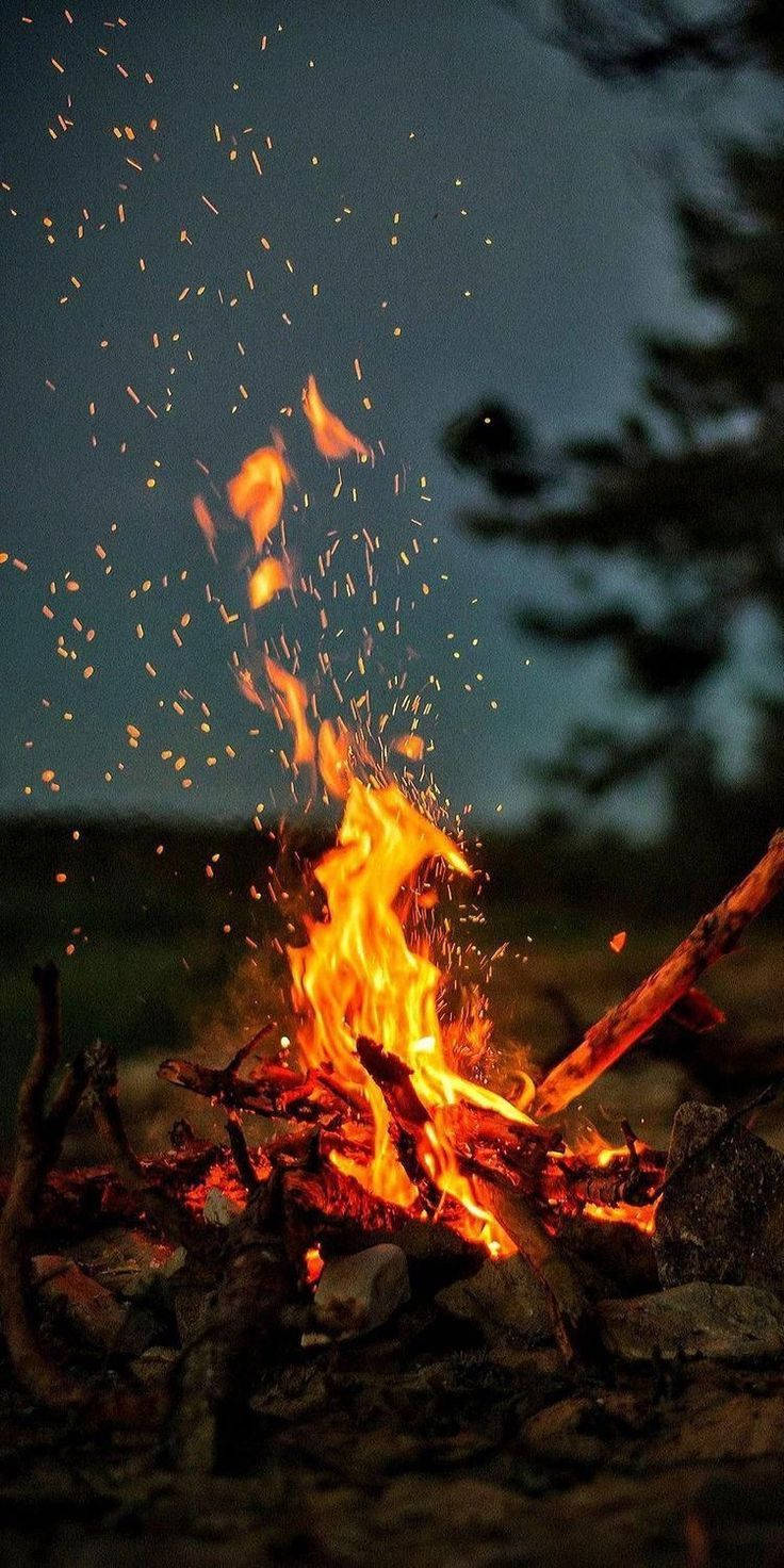 Iphone Xr Forest Campfire Background