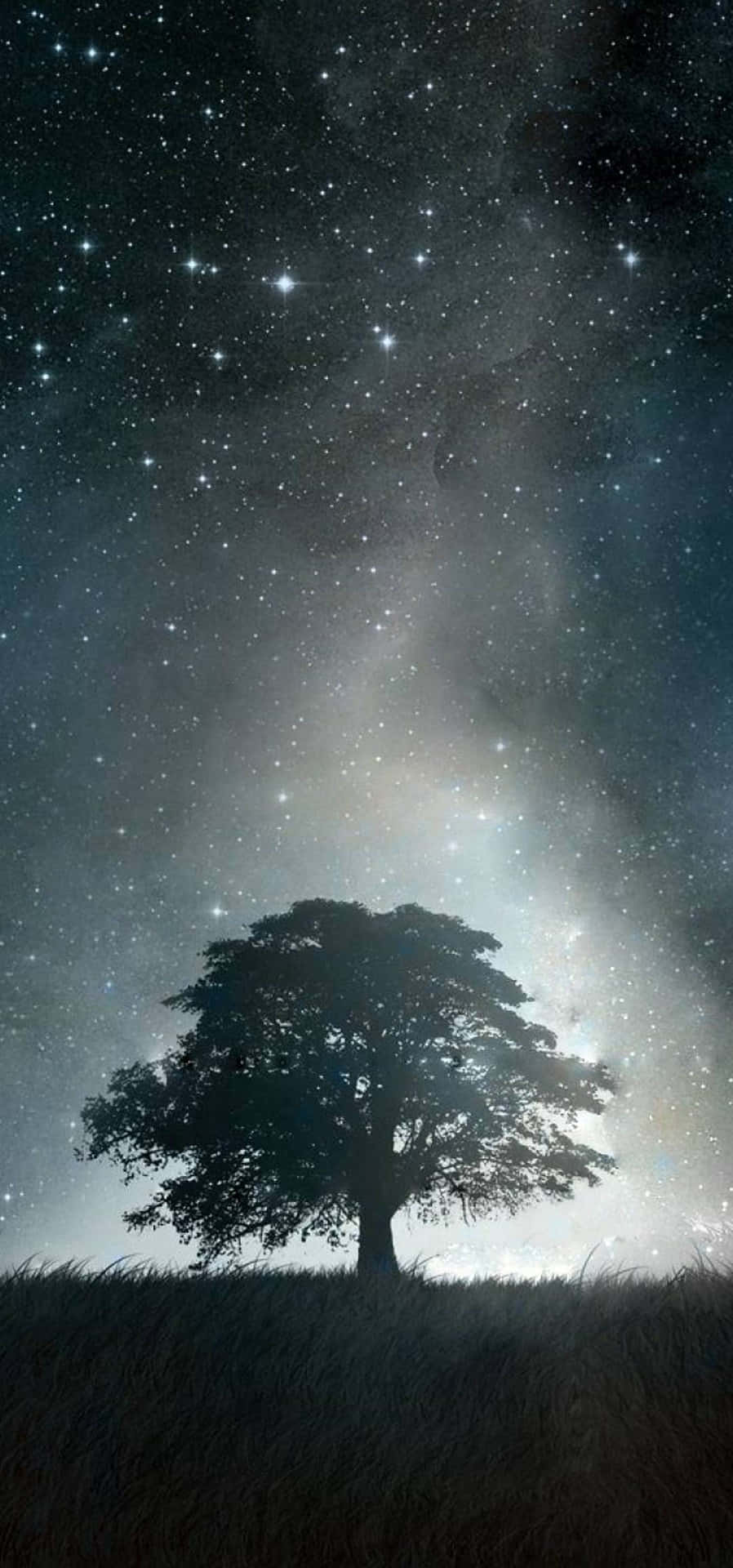 Iphone Xr Space Tree Shadow Background