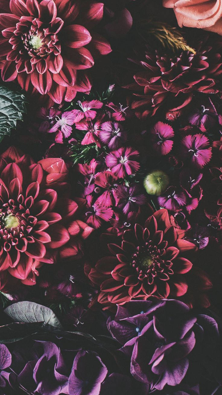 Iphone Xs Flowers Background