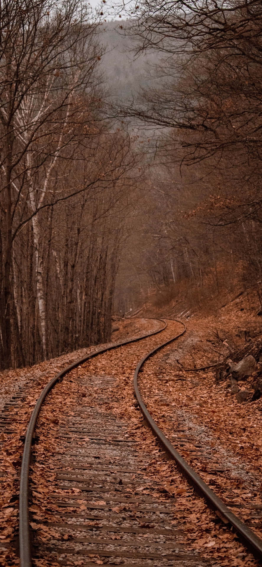 Iphones Xs Max Railway Full Of Autumn Leaves Background