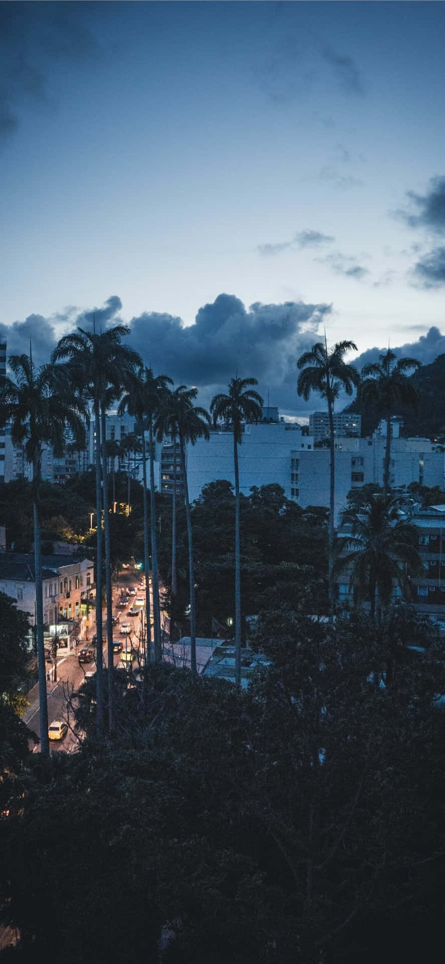 Iphones Xs Max Tall Palms On Busy Road Background