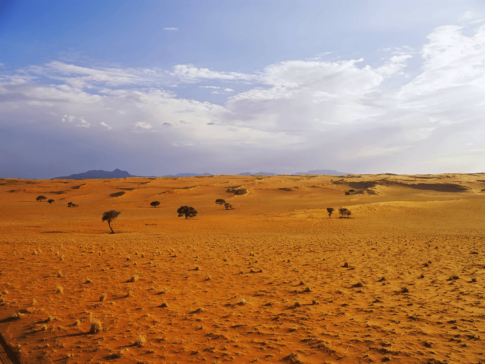 Iraq Desert Landscape Bright Sky Background