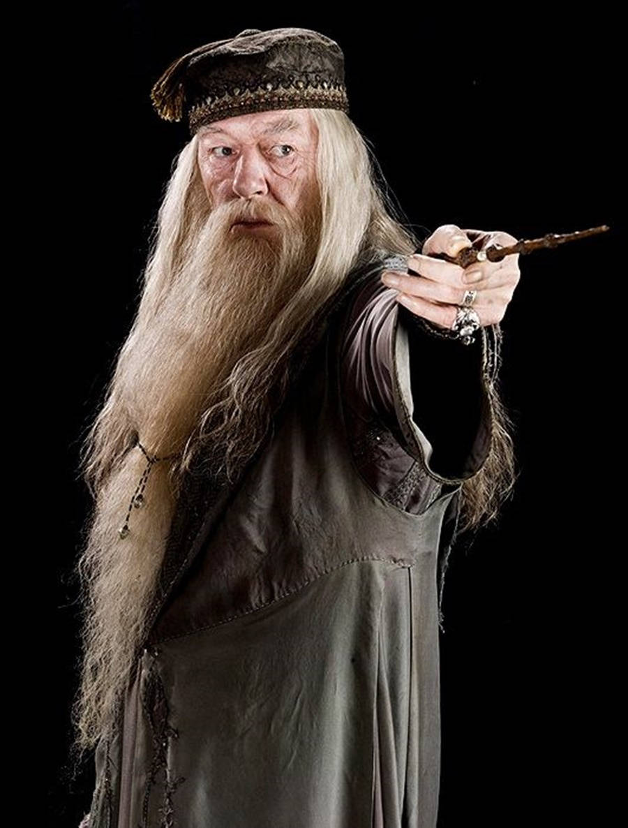 Irish Actor Richard Harris As Professor Albus Dumbledore Photoshoot Background