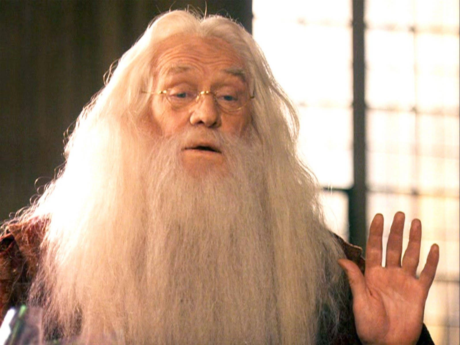 Irish Actor Richard Harris As Professor Dumbledore