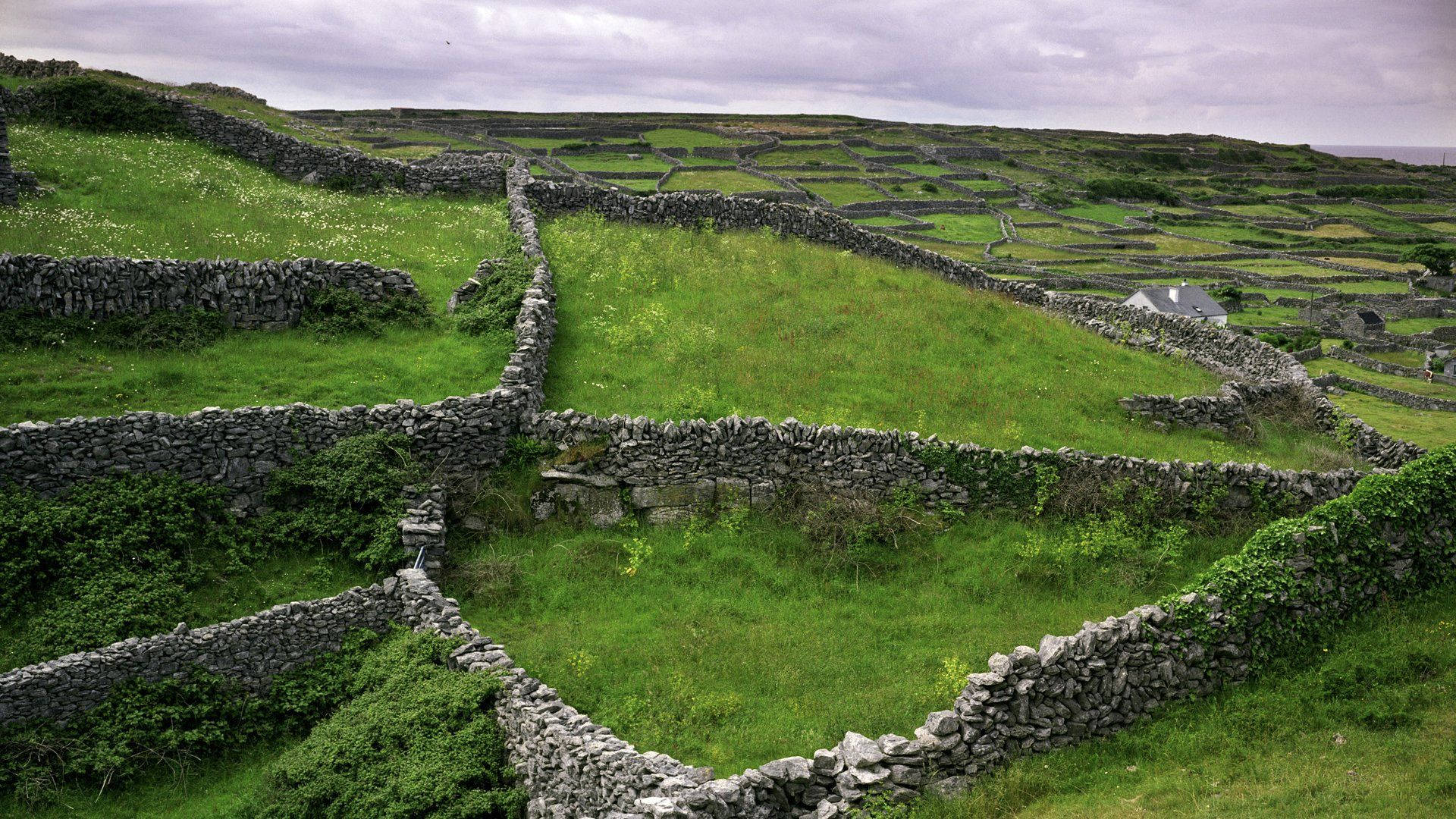 Irish Stone Walls Landscape Background