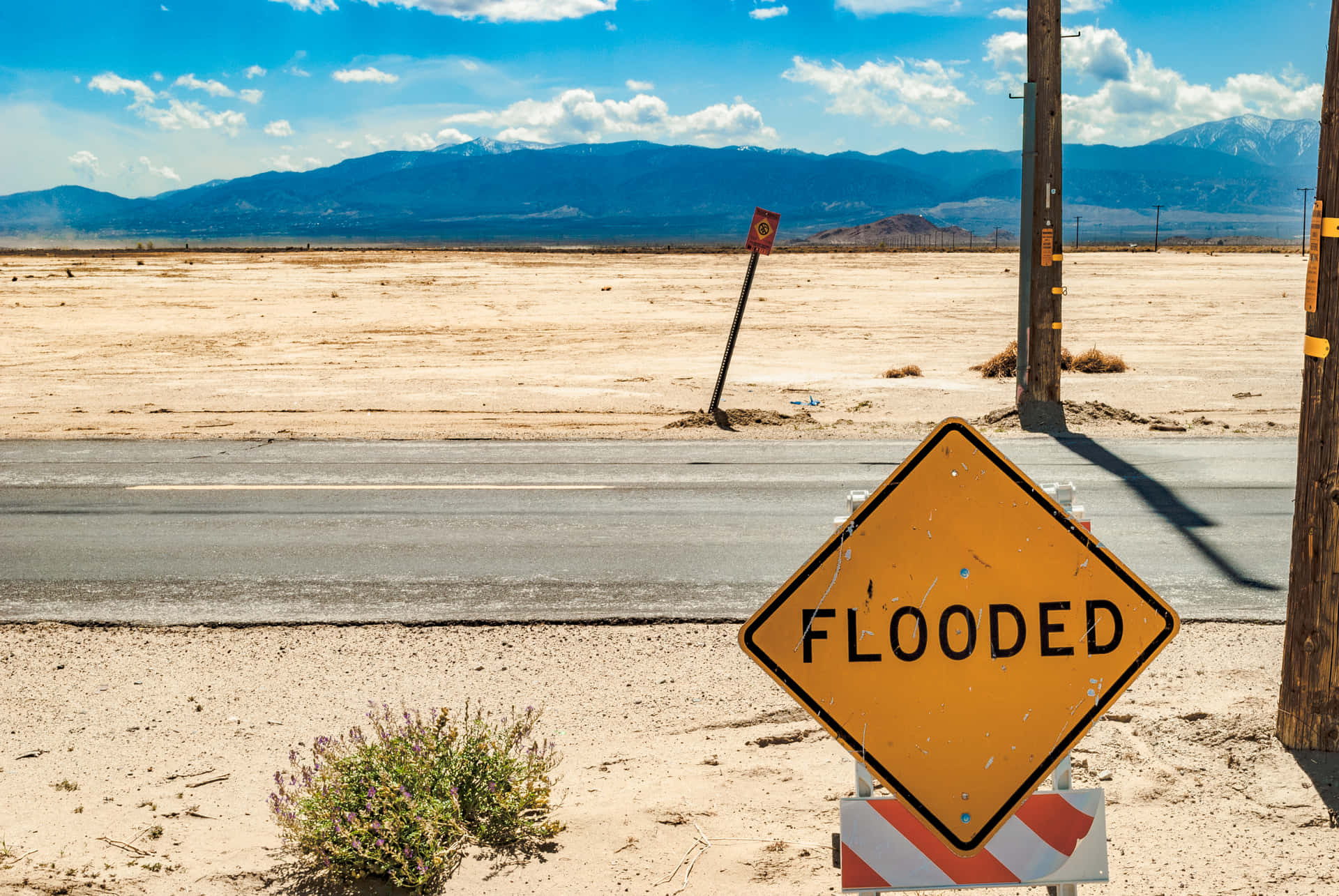 Ironic Flooded Sign Board In A Desert Background