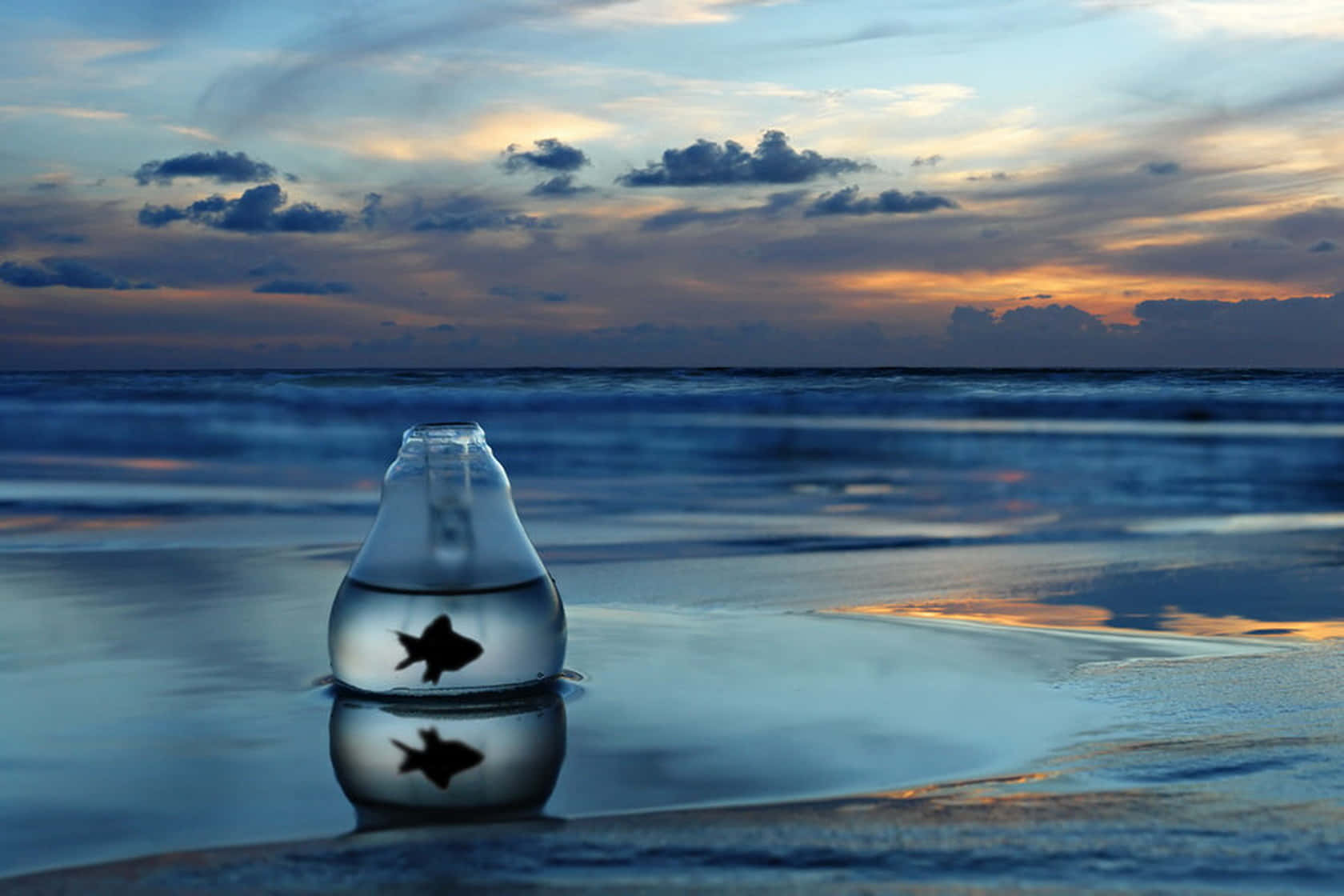 Ironic Image Of An Aquarium In The Seashore