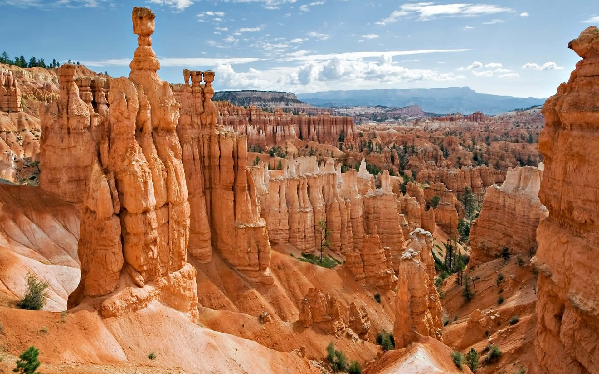 Irregular Columns Of Rock Bryce Canyon National Park Background