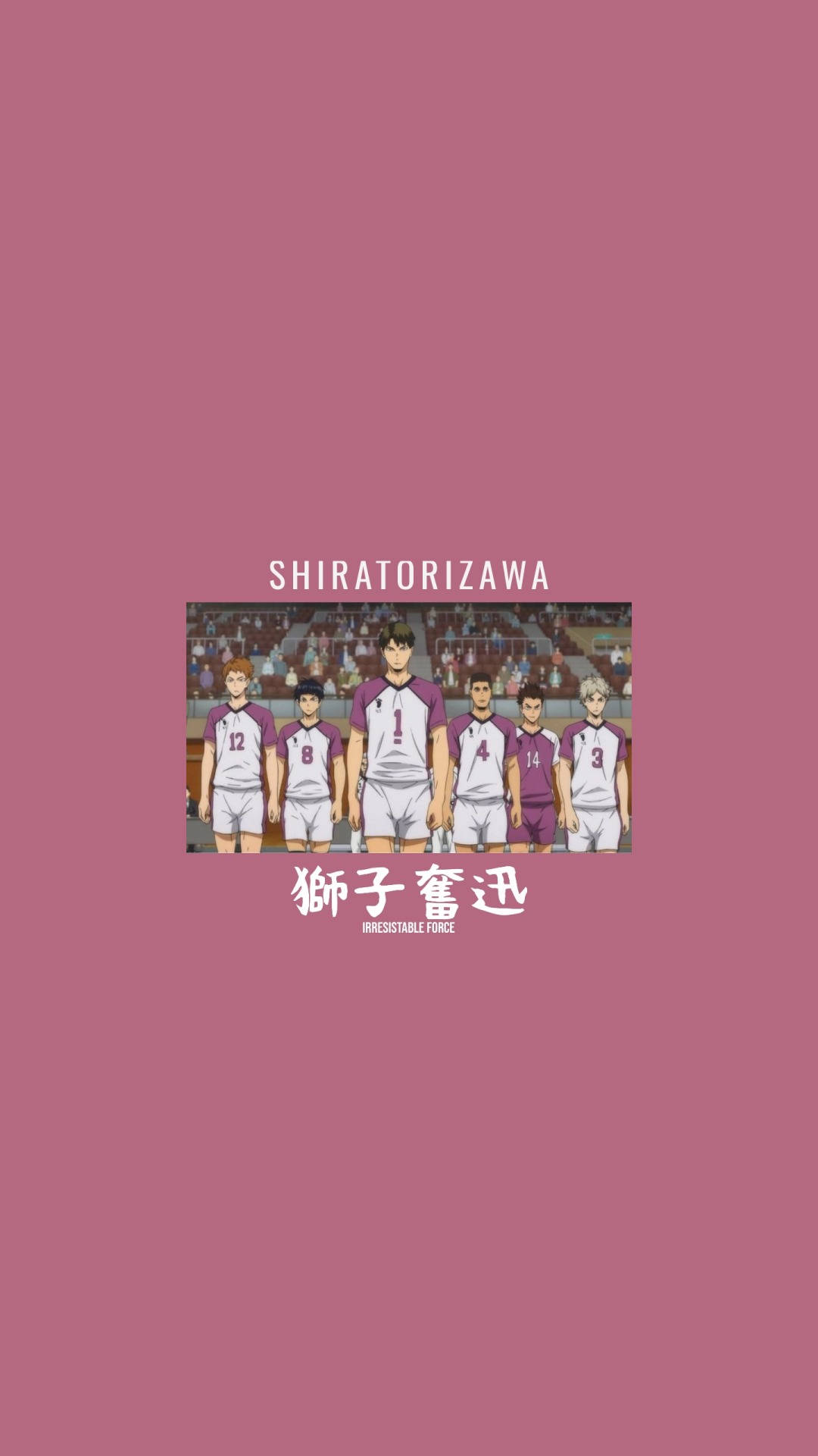 Irresistible Shiratorizawa Team Background