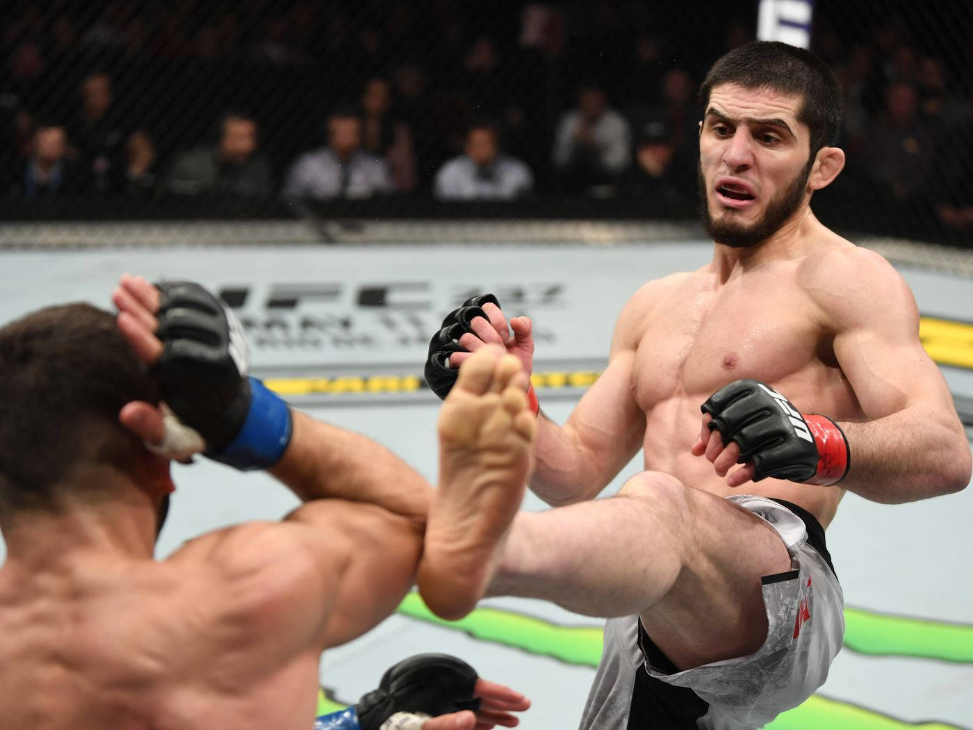 Islam Makhachev Game Face On Background