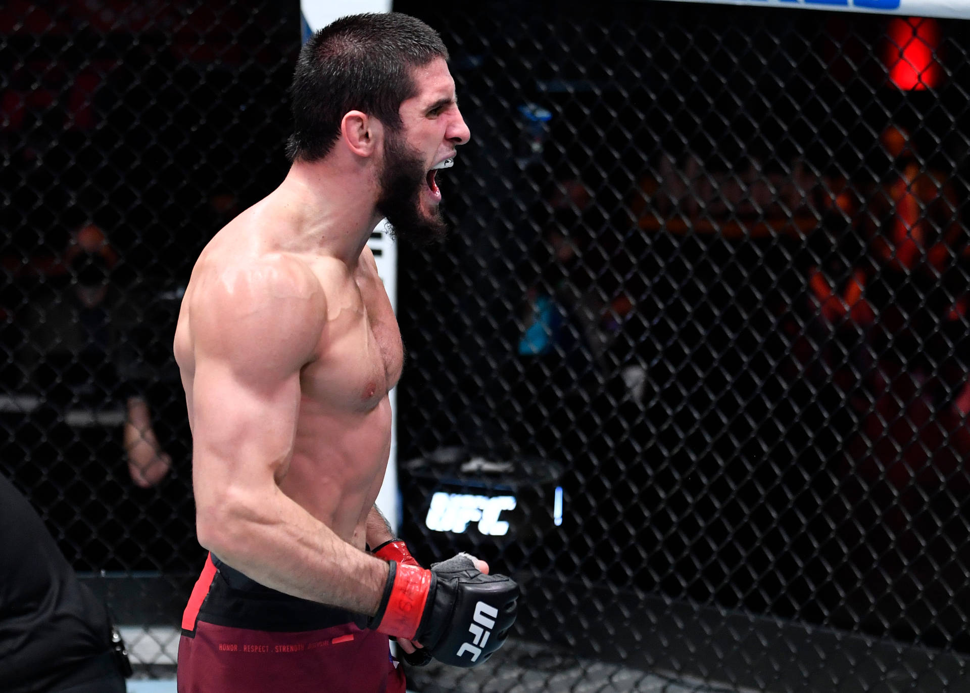 Islam Makhachev Roaring