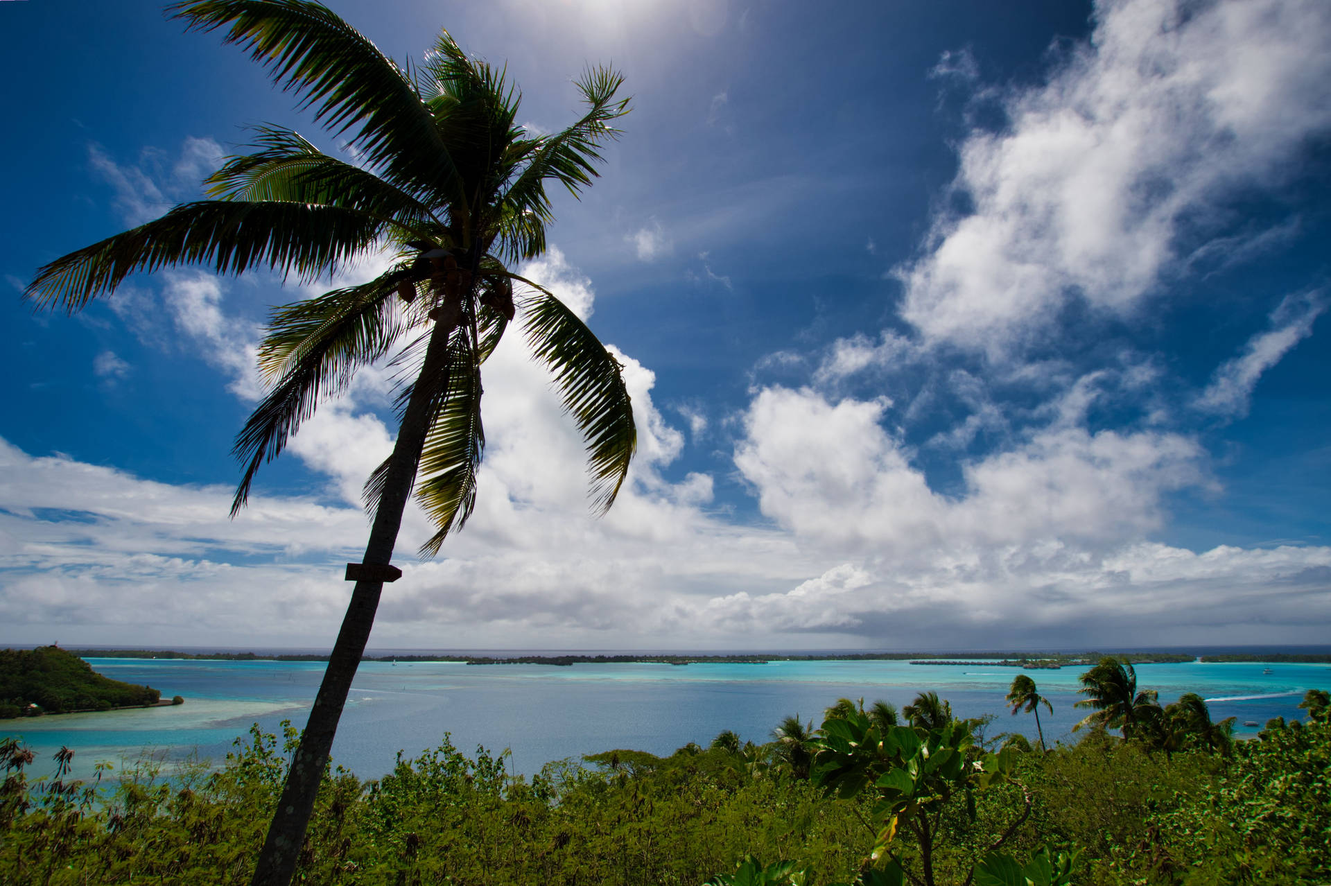 Island In French Polynesia Background