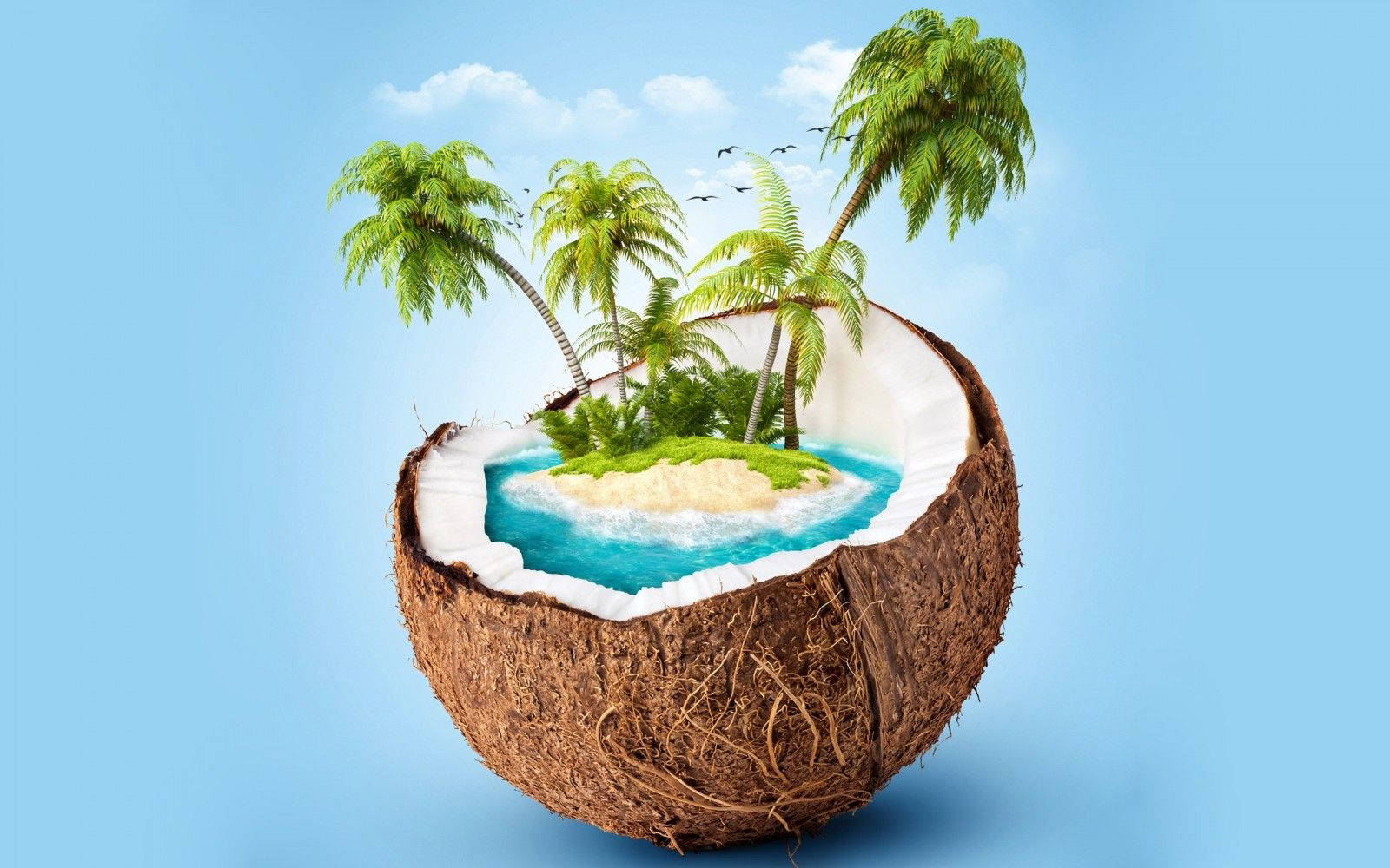 Island Inside A Coconut Art Background