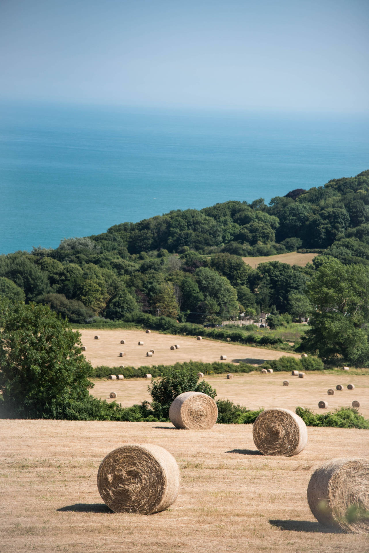 Isle Of Wight England Background