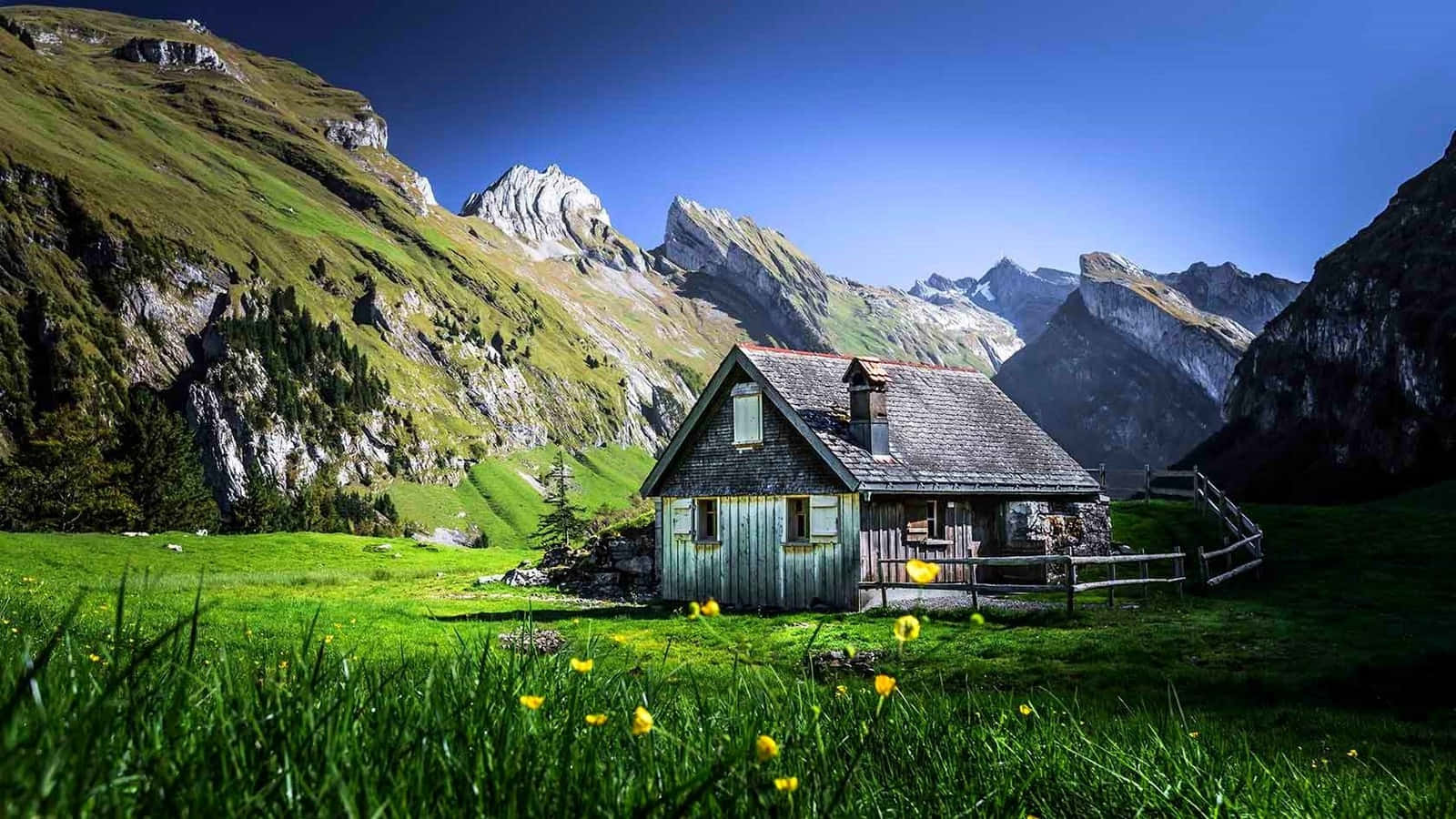 Isolated Cabin Field Background