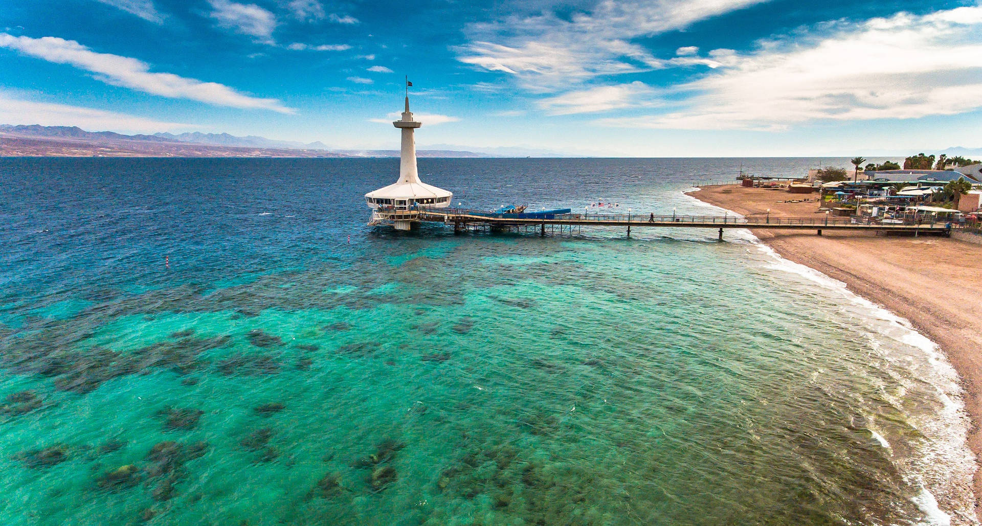 Israel Dolphin Reef Background