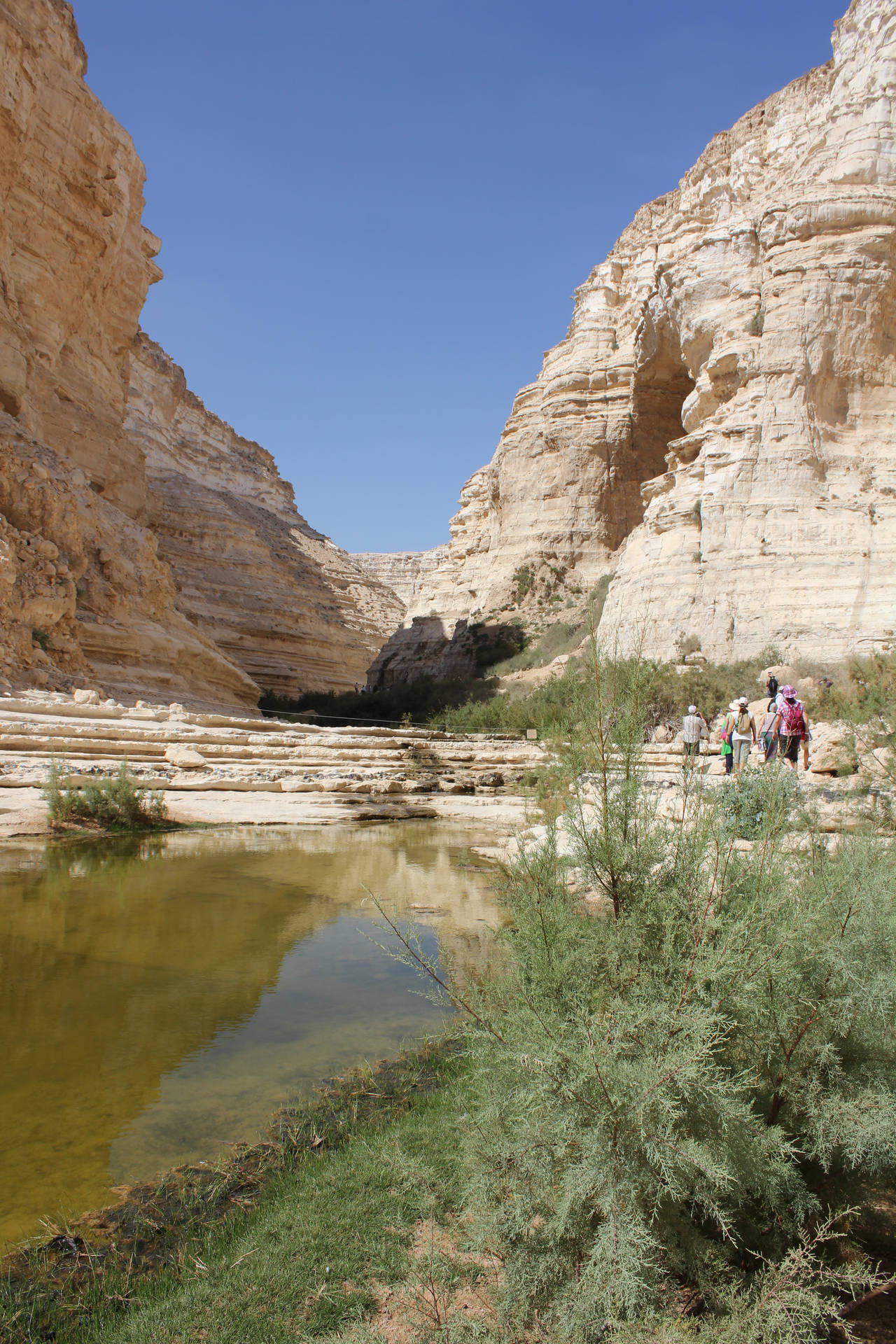 Israel En Avdat Canyon