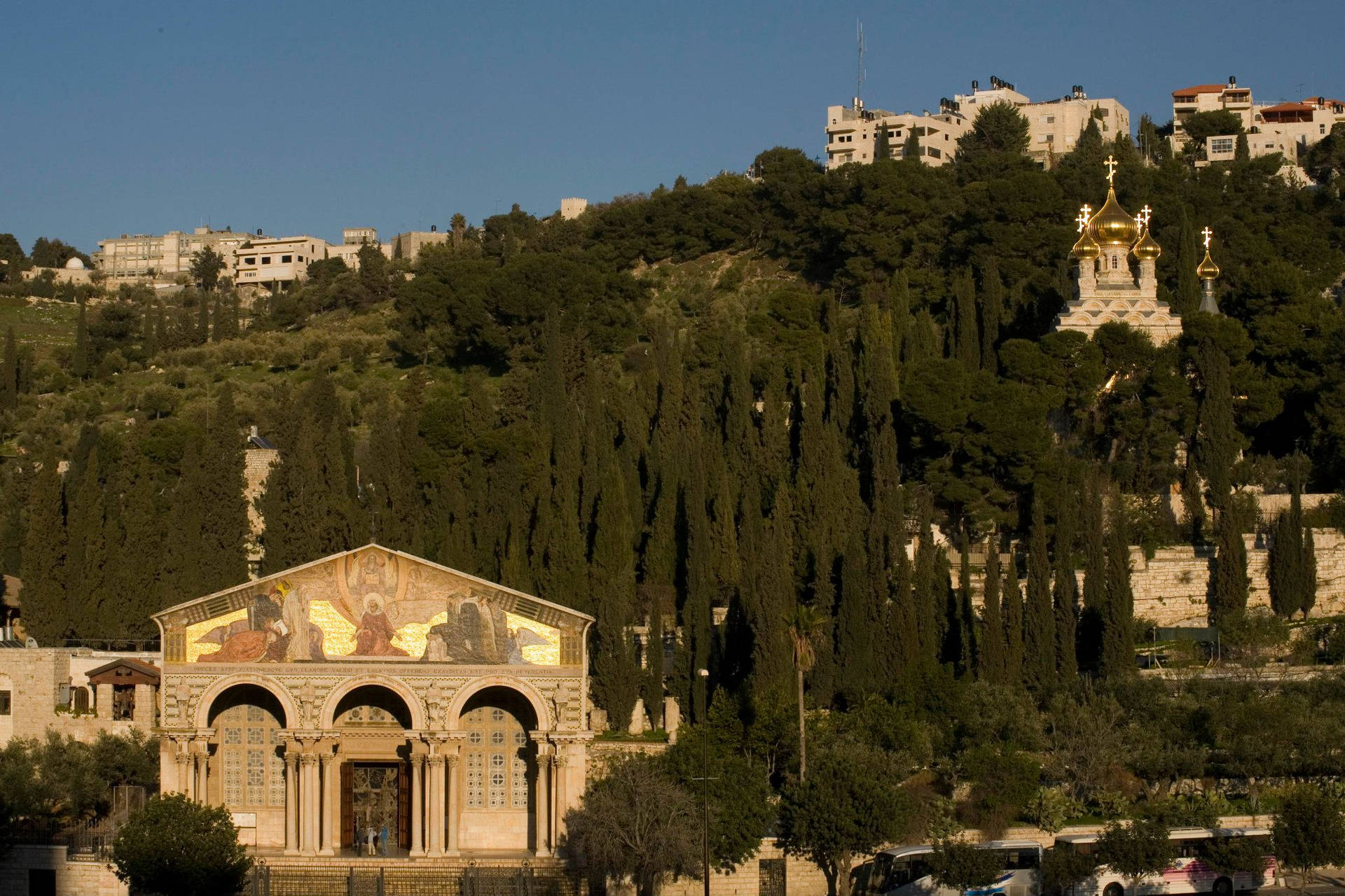 Israel Mount Of Olives Background