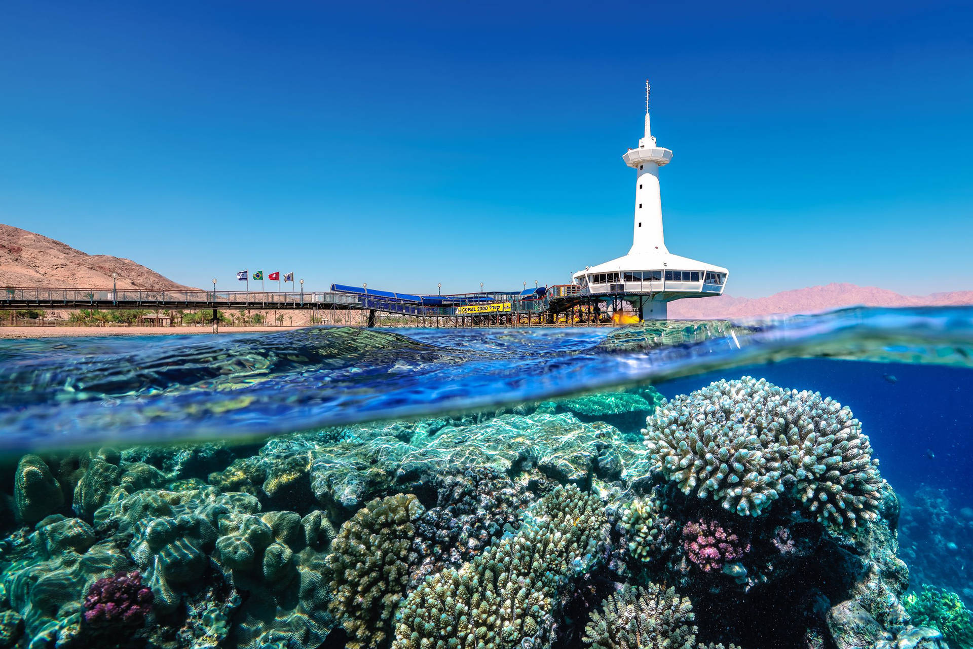 Israel Underwater Observatory Background