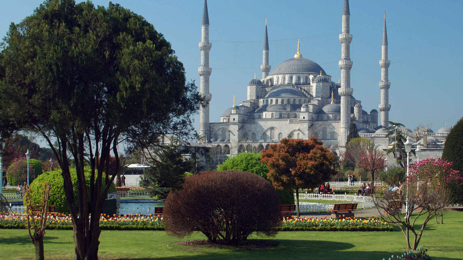 Istanbul's Sultan Ahmed Mosque Background