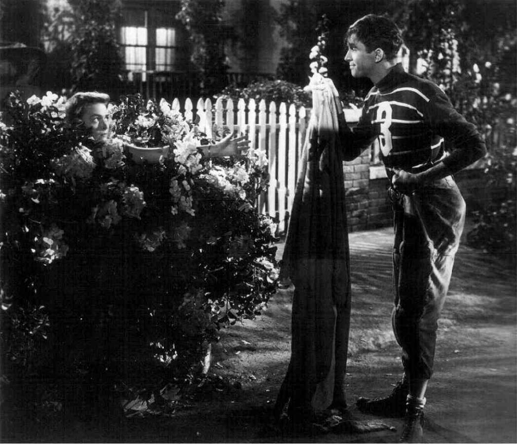 It's A Wonderful Life Donna Reed James Stewart Lovers Background
