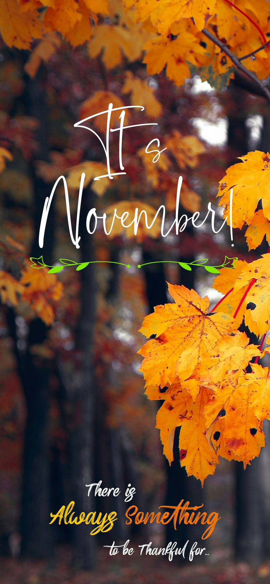 It's November Autumn Trees Quote