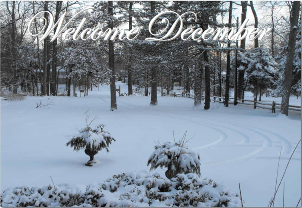 It's The Most Wonderful Time Of The Year! Background