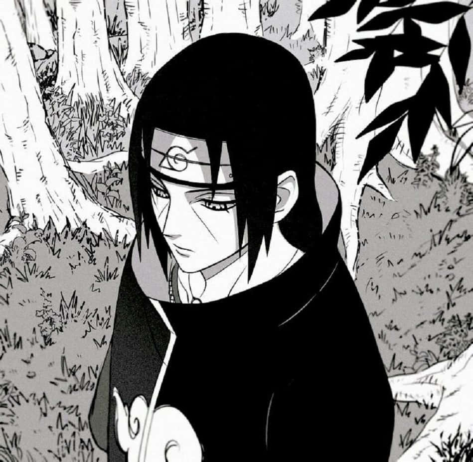 Itachi Uchiha Forest Contemplation Background