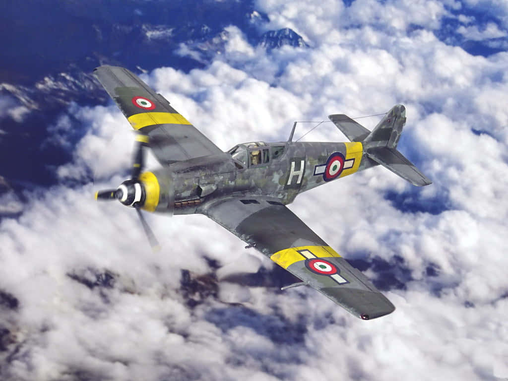 Italian Co Belligerent Air Force Background