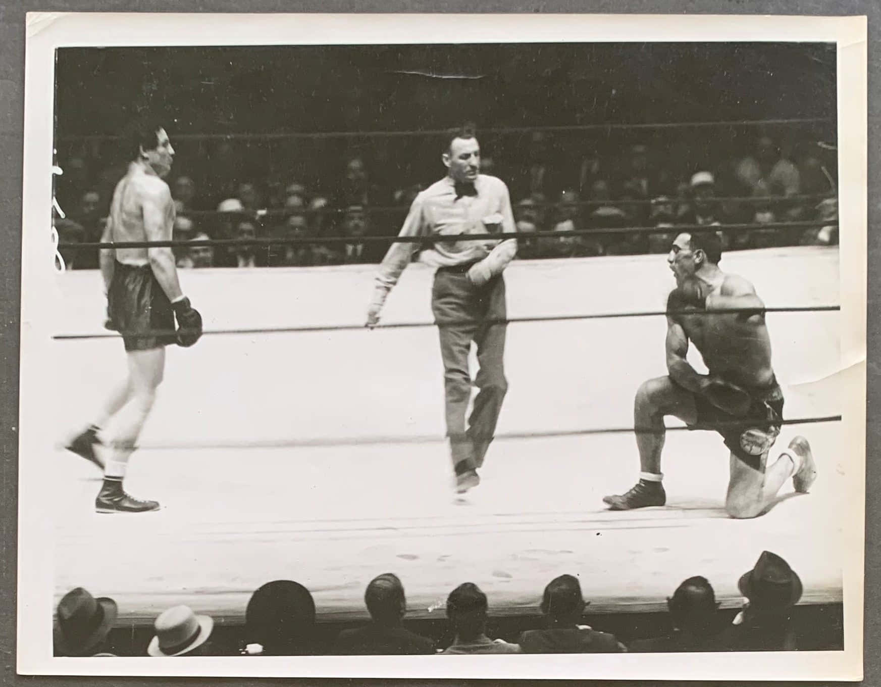 Italian Professional Boxer Primo Carnera Taking A Knee 1934