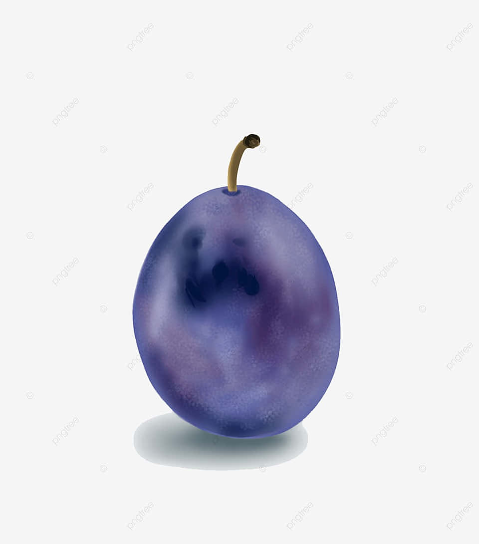 Italian Prune Plum Blue Indigo Ripe Fruit Background
