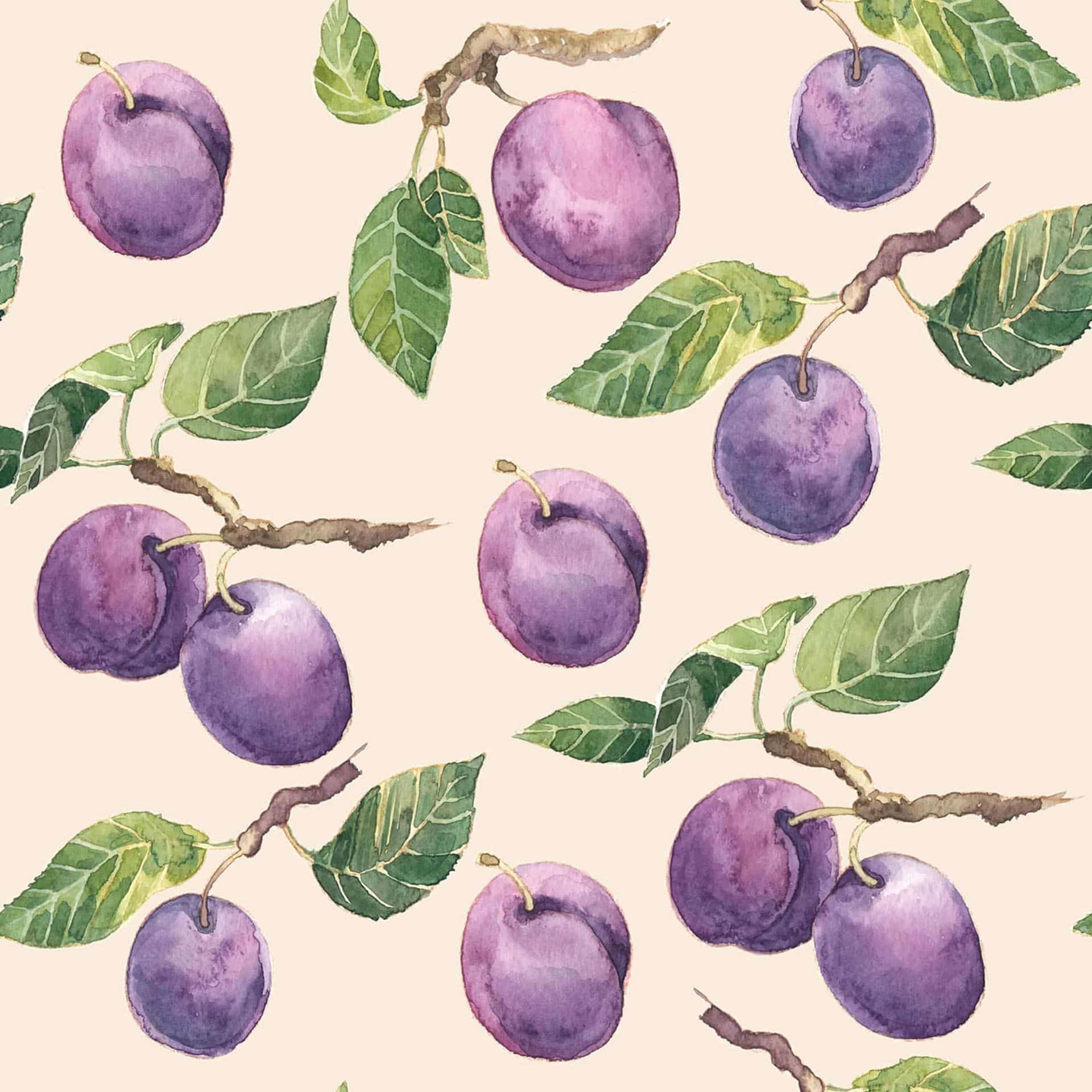 Italian Prune Plum Watercolor Illustration Pattern Background