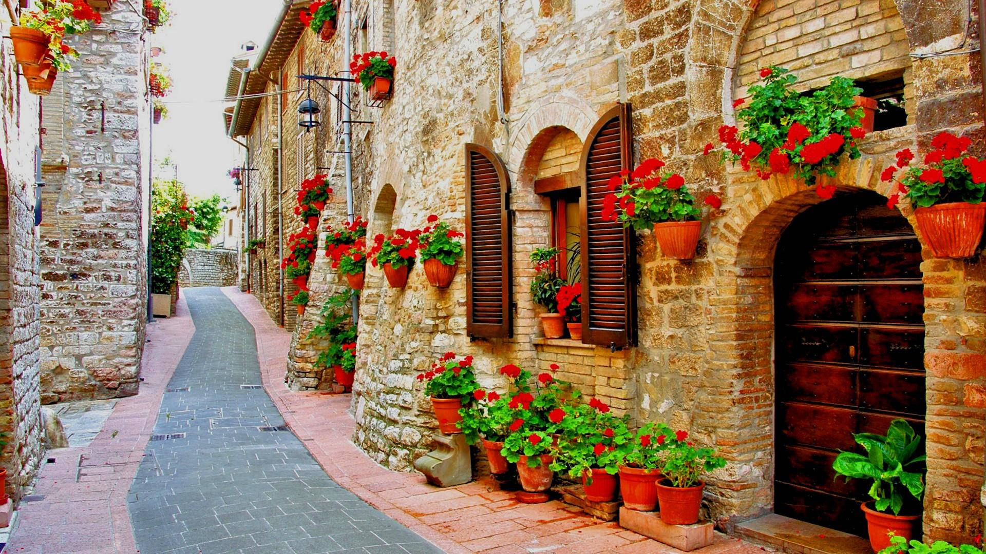 Italy Flower Walkway Background