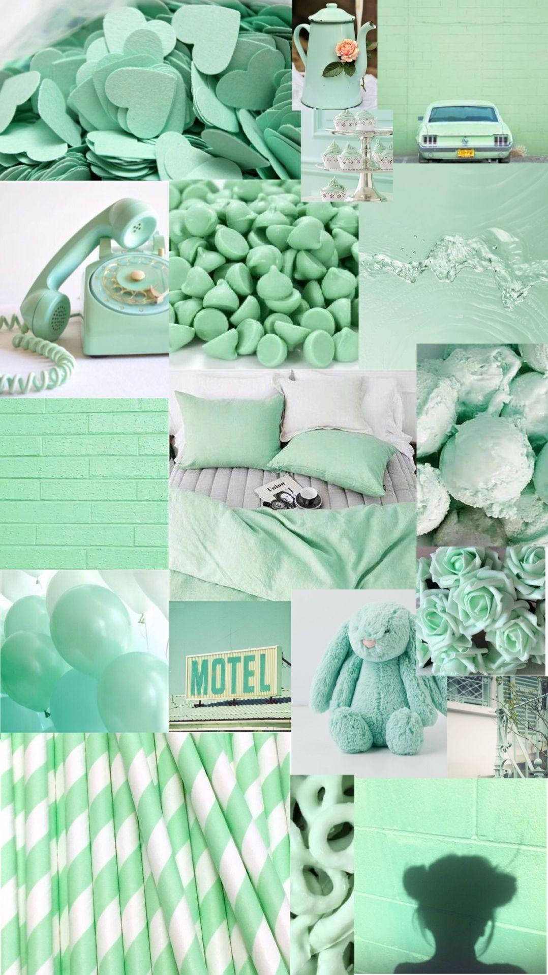 Items In Pastel Green Aesthetic Laptop Background