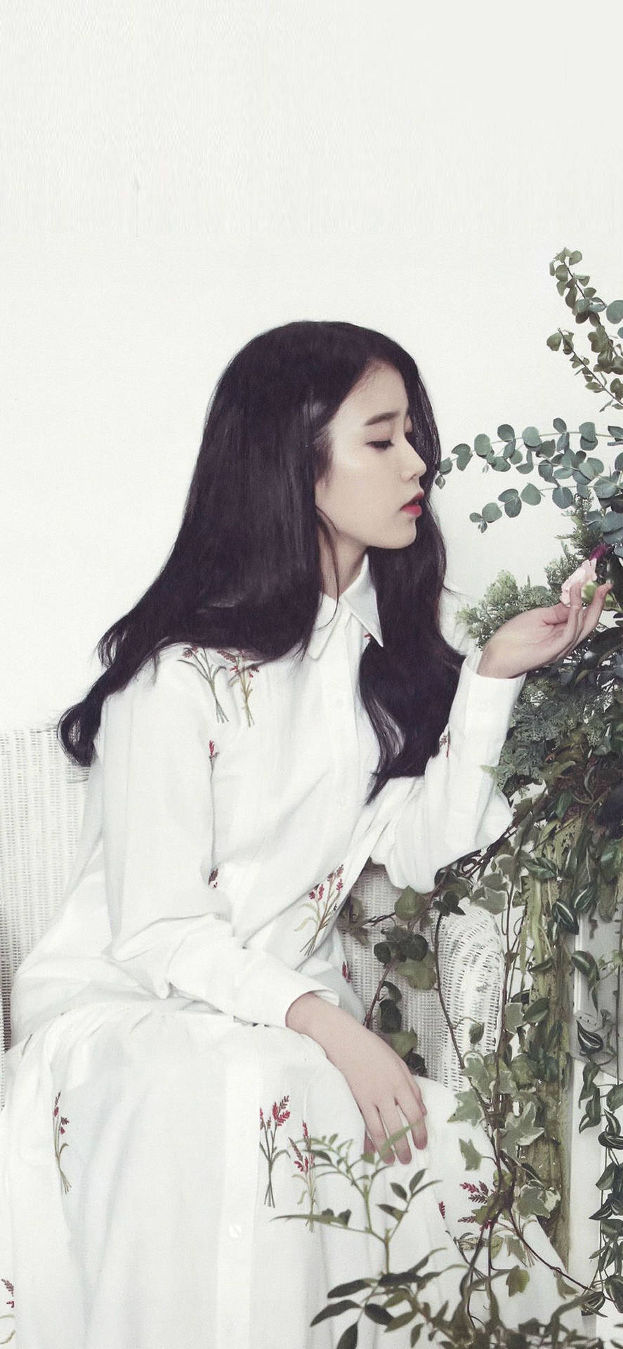 Iu In White Touching A Flower