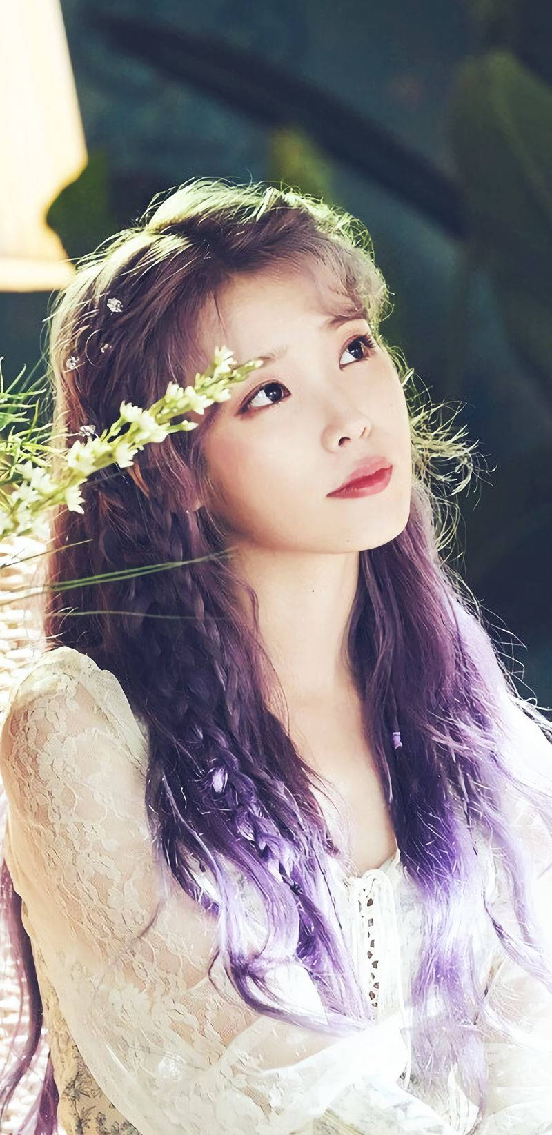 Iu Purple Braided Hair Background