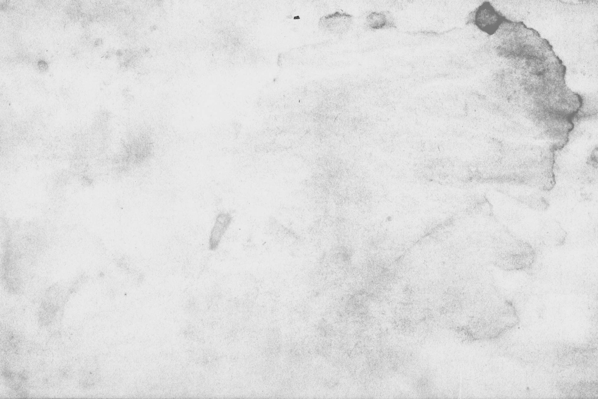 Ivory White Grunge Texture