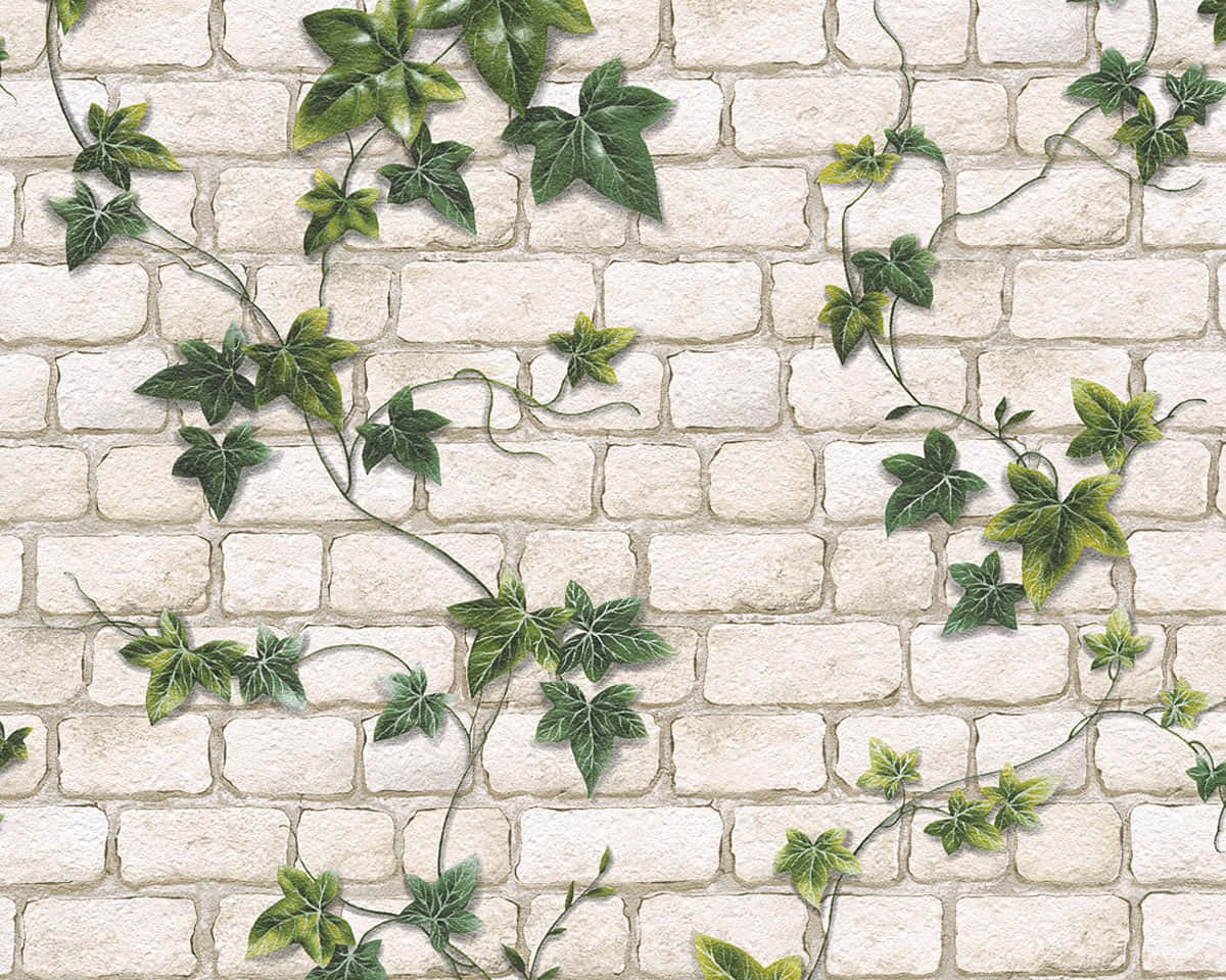 Ivy Covered Stone Wall Background